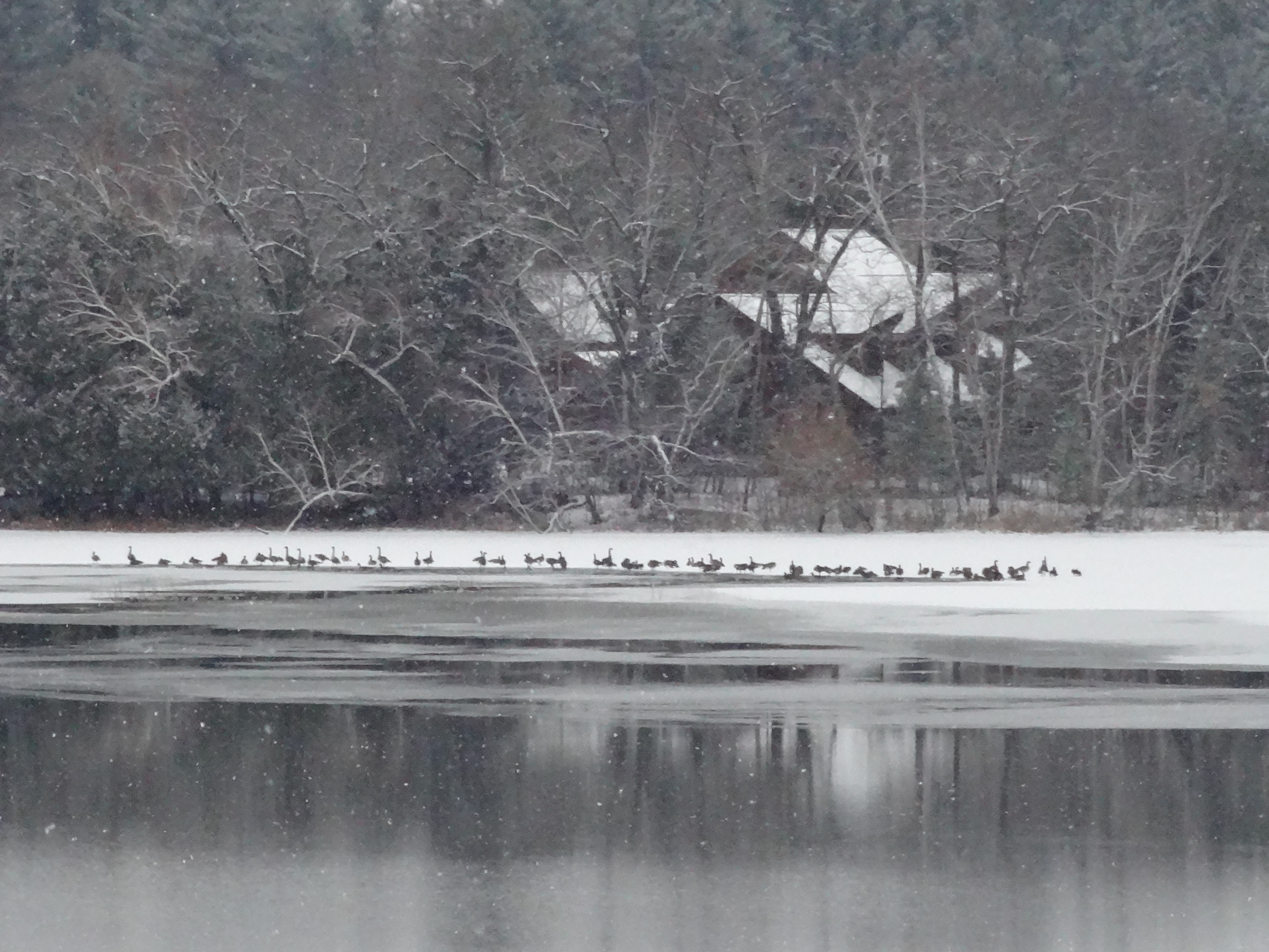 Columbia Lake