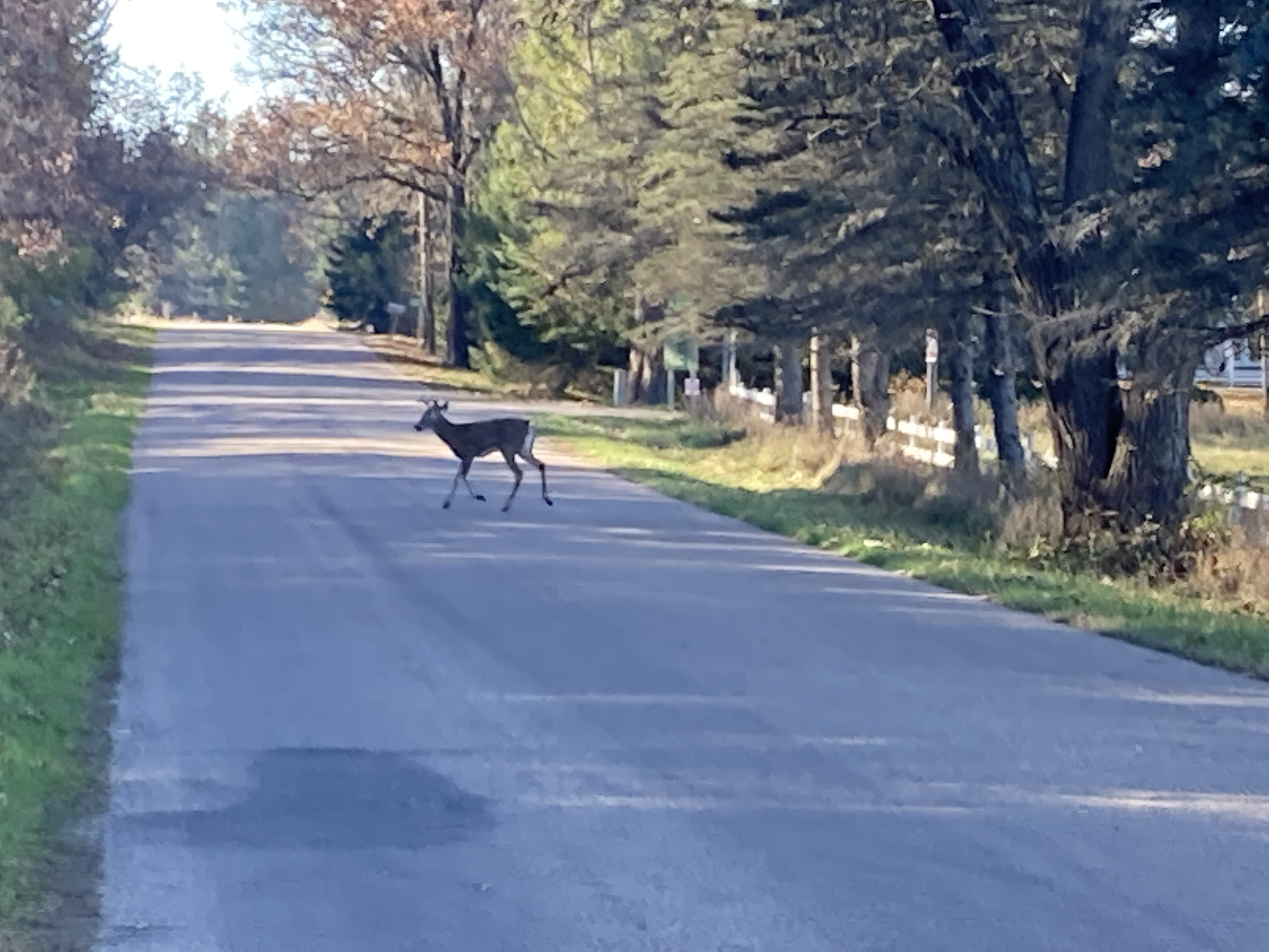 Rural Road, Waupaca, Wi.