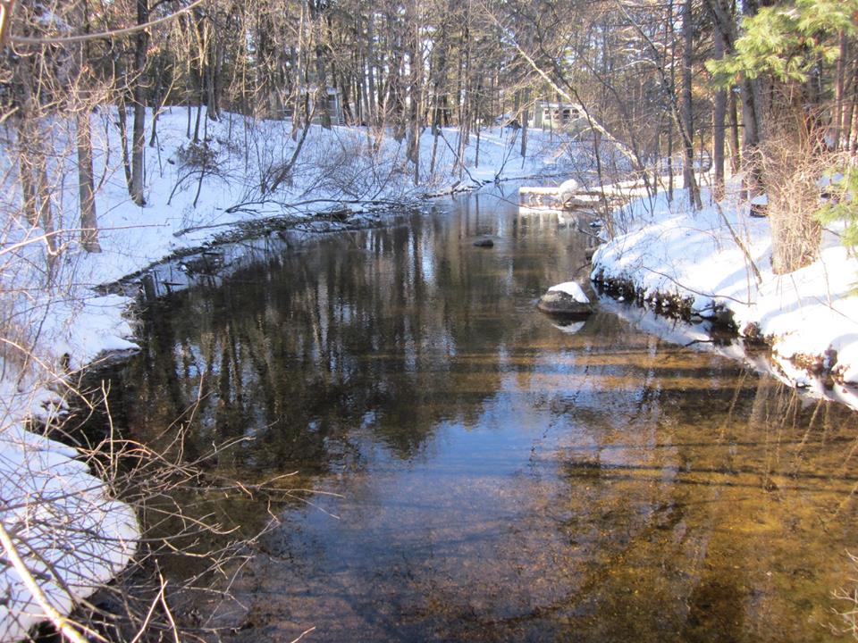 Beasily Creek on The Chain O' lakes