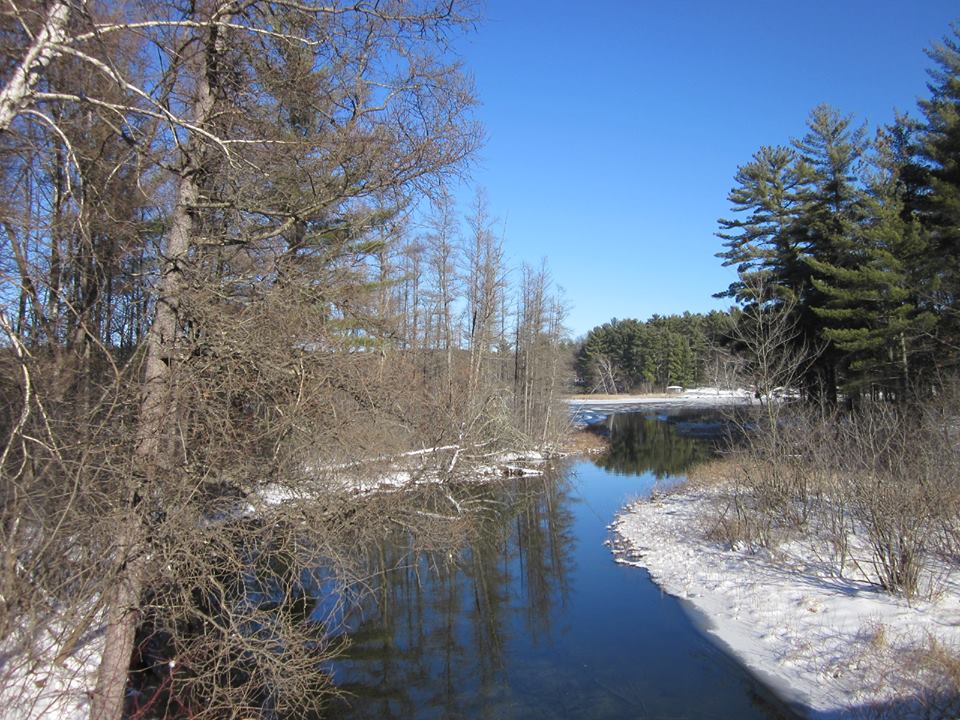 Columbia Lake