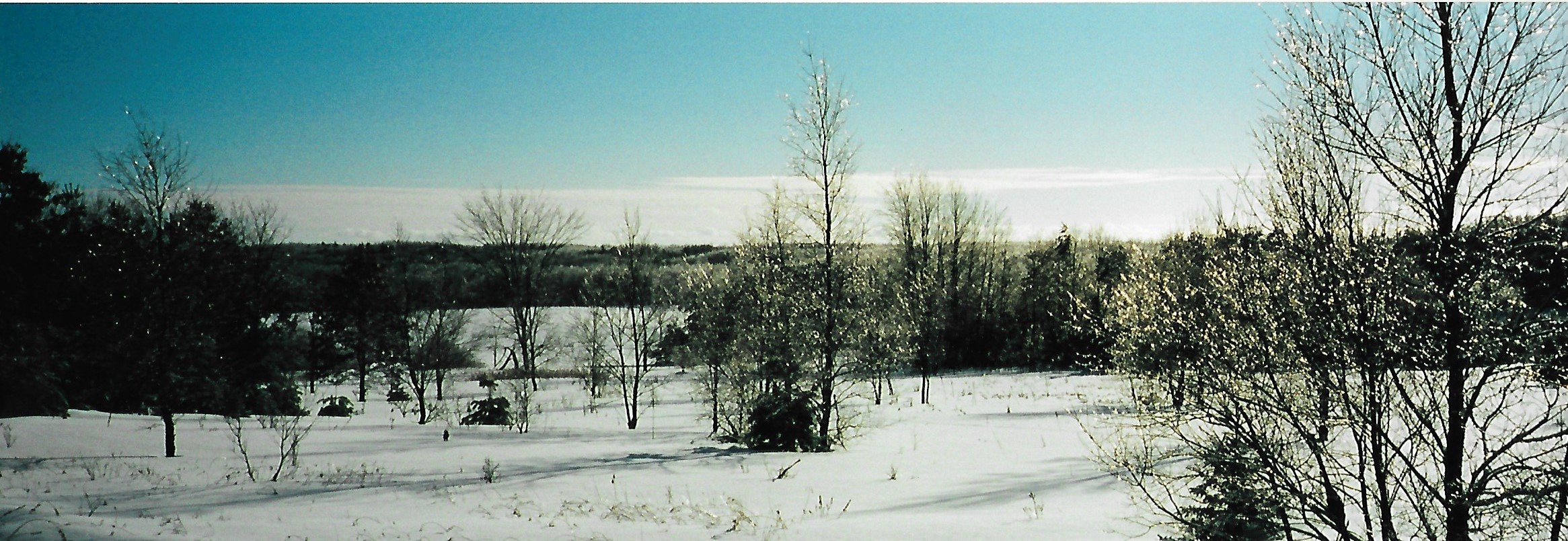 Emmons Creek Fishery Area off Fountain Lake Road and Stratton Lake Road